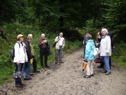 Wanderung Klosterruine