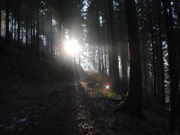 Winterwanderung 2009