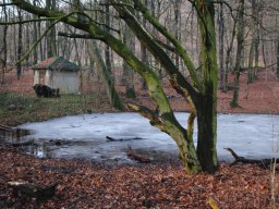 Winterwanderung 2009