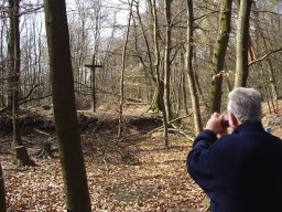 Wanderung Buchenwald