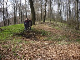 Wanderung Buchenwald