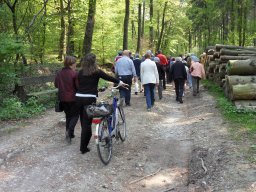 Kreuzgang zur Klosterruine