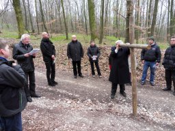 Kreuzgang zur Klosterruine