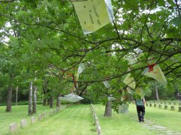 Soldatenfriedhof Stukenbrock