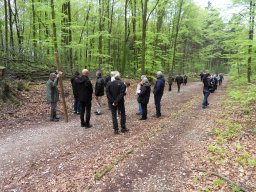 Kreuzweg zur Klosterruine