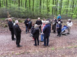 Kreuzweg zur Klosterruine