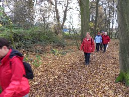 Wanderung zur Hünenburg