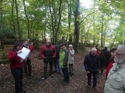 Waldfriedhof in Halle