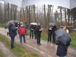 Kreuzweg zur Klosterruine 2016