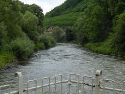 Tagesfahrt nach Hann.Münden