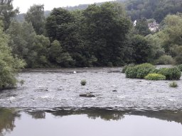 Tagesfahrt nach Hann.Münden