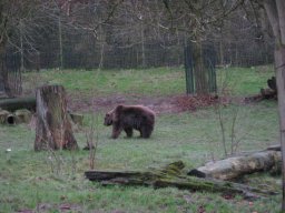 Wanderung nach Olderdissen