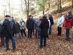 2018-11 Wanderung zur Hünenburg