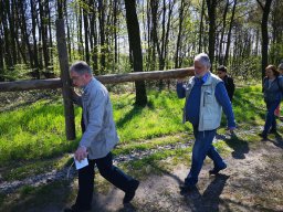 Kreuzweg zur Klosterruine