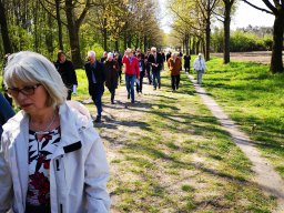 Kreuzweg zur Klosterruine