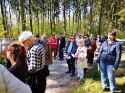 Kreuzweg zur Klosterruine