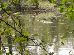 Spaziergang Luttertal