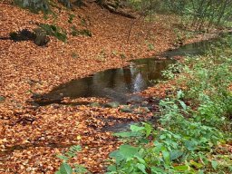 Spaziergang Luttertal