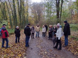 Wanderung zur Hünenburg