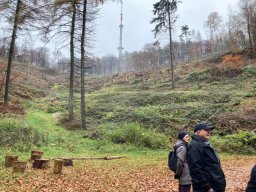 Wanderung zur Hünenburg