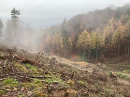 Wanderung zur Hünenburg