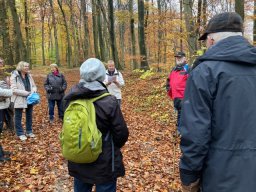 Wanderung zur Hünenburg