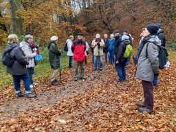 Wanderung zur Hünenburg