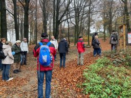 Wanderung zur Hünenburg