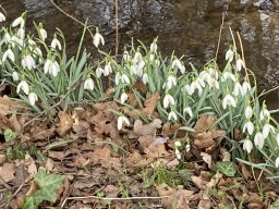 Besuch in Steinhagen