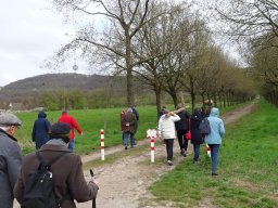 2022-04 Kreuzweg zur Klosterruine