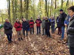 Wanderung zur Hünenburg