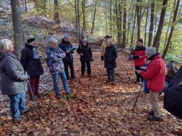 Wanderung zur Hünenburg