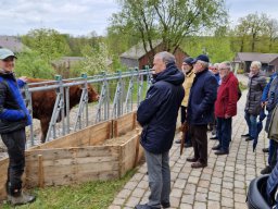 Besichtigung Gnadenhof Sentana