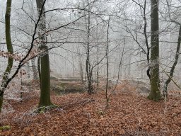 Wanderung Jahresabschluss