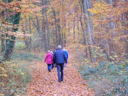 Veranstaltungen 2025