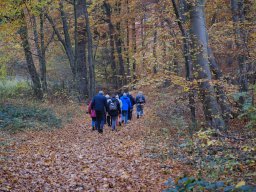 Wanderung Huenenburg