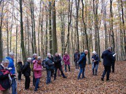 Wanderung Huenenburg